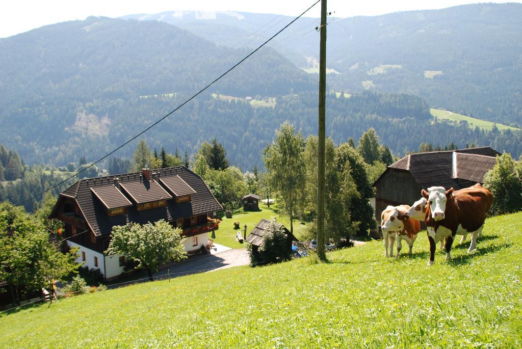 Ferienwohnung Lahnerhof Arriach Eksteriør bilde
